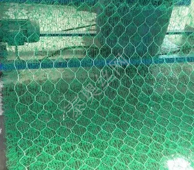 福建三維植被網(wǎng)墊