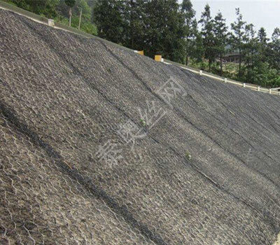 福建三維植被網(wǎng)墊